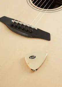 KNA Pickups AP-1