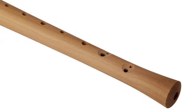 Hohner B9560