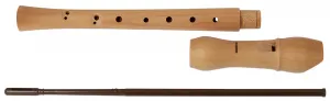Hohner B9560