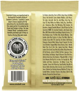 Ernie Ball 2006 Earthwood 80/20 Bronze Extra Light