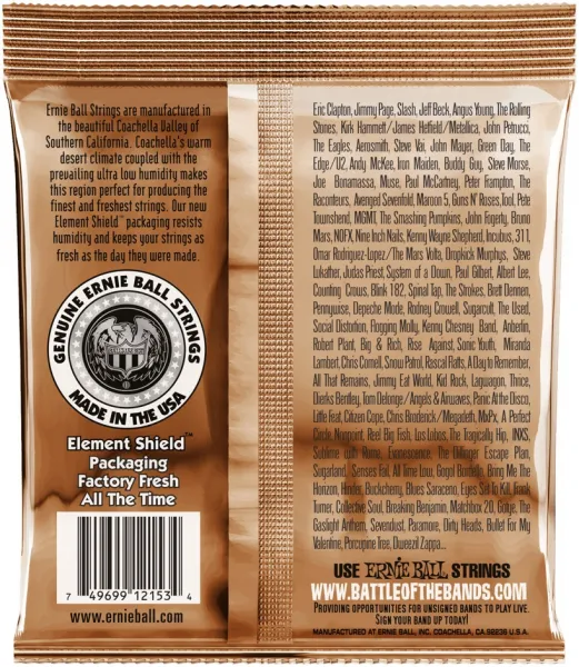 Ernie Ball 2153 Earthwood Phosphor Bronze 12-String Light