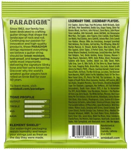 Ernie Ball 2021 Paradigm Regular Slinky