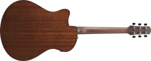Ibanez AAM300CE Natural