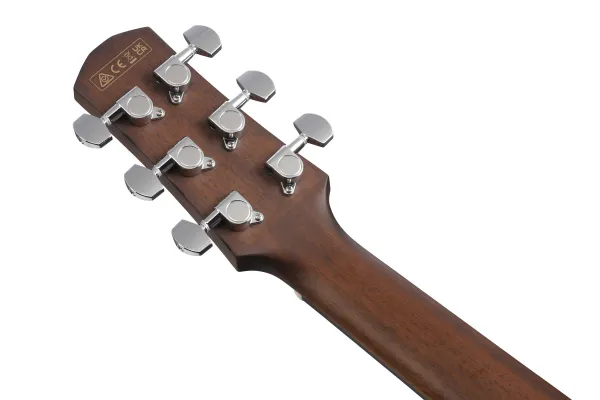 Ibanez AAM300CE Natural