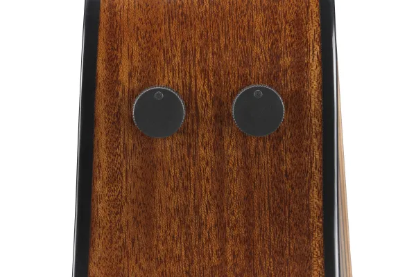 Ibanez AAM300CE Natural