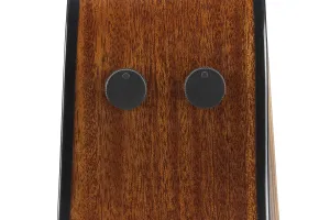 Ibanez AAM300CE Natural