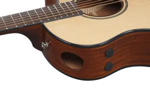 Ibanez AAM300CE Natural