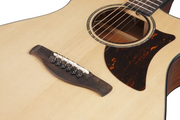 Ibanez AAM300CE Natural