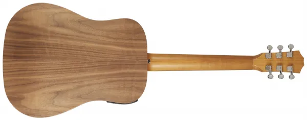Taylor BT1e