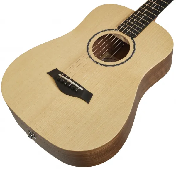 Taylor BT1e
