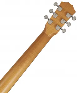 Taylor BT1e