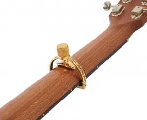 G7th Heritage 2 Guitar Gold