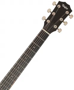 Taylor 210ce Plus