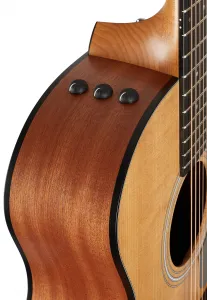 Taylor 114ce