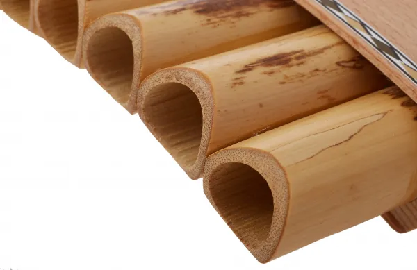 Plaschke R15 C