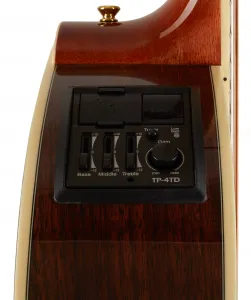 Takamine GD51CE-NAT