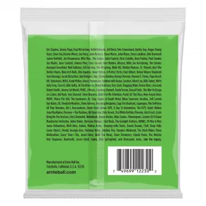 Ernie Ball 2230 Nickel Wound 12-String Slinky