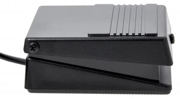 Roland DP-2