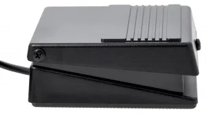 Roland DP-2