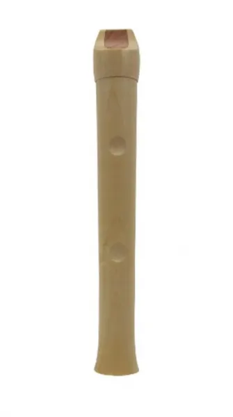 Schneider Child
