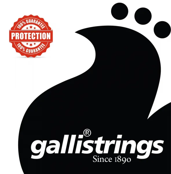 Galli BM60 6-String Silverplated