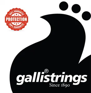 Galli BM60 6-String Silverplated