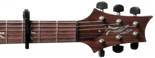 D'Addario PW-CP-09