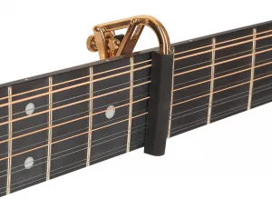 Shubb C3g Capo Royale Gold 12-String