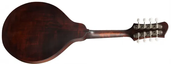 Eastman MD304