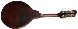 Eastman MD304