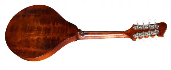 Eastman MD505