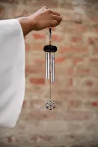 Meinl Sonic Energy Mini Chakra Chime Silver