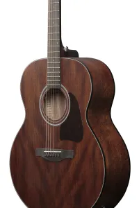 Ibanez AJ54E Natural