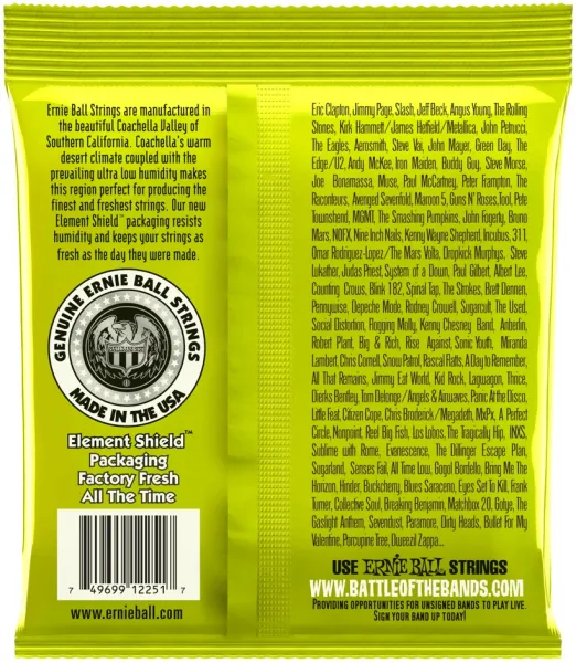 Ernie Ball 2251 Pure Nickel Regular Slinky