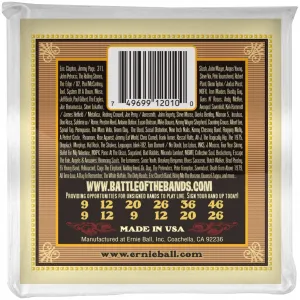 Ernie Ball 2010 Earthwood 80/20 Bronze 12-String Light