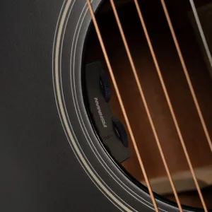 Cort L100OCF-CED BKS