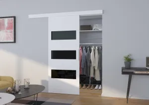 Posuvné dvere ARES Farba: wenge