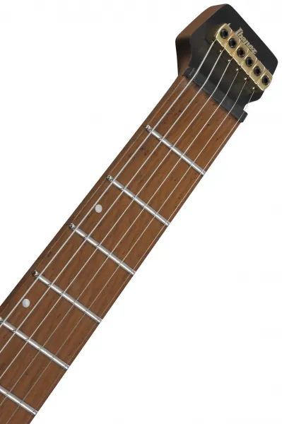 Ibanez MGFM10L Obsidian Black
