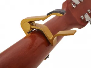 Razzor Capo Gold