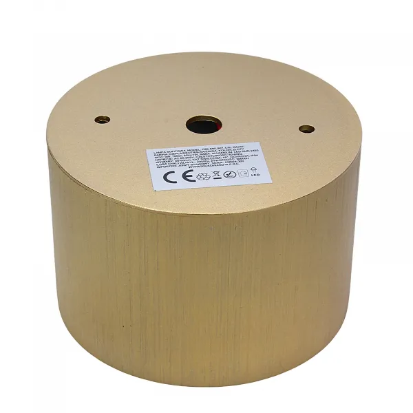 DECOREUM LED stropné svietidlo PZE-MKL907 9W CCT 3000K-6000K zlaté