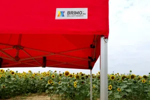 BRIMO Párty stan 4x6 m Premium (Alu) s 3 stenami – Rýchlorozkladací - s 3 stenami - Biela 17