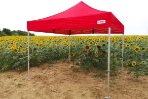BRIMO Svadobný stan 3x6 m hliníkový – Elegantný a rýchlorozkladací - s 3 stenami - Modrá 15