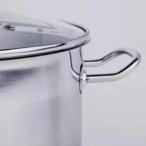 Haushalt International Univerzální hrnec se skleněnou poklicí, 20 l