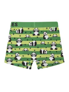 Veselé chlapčenské boxerky Dedoles Pandy a pásiky (GMBB249) 110, trenky