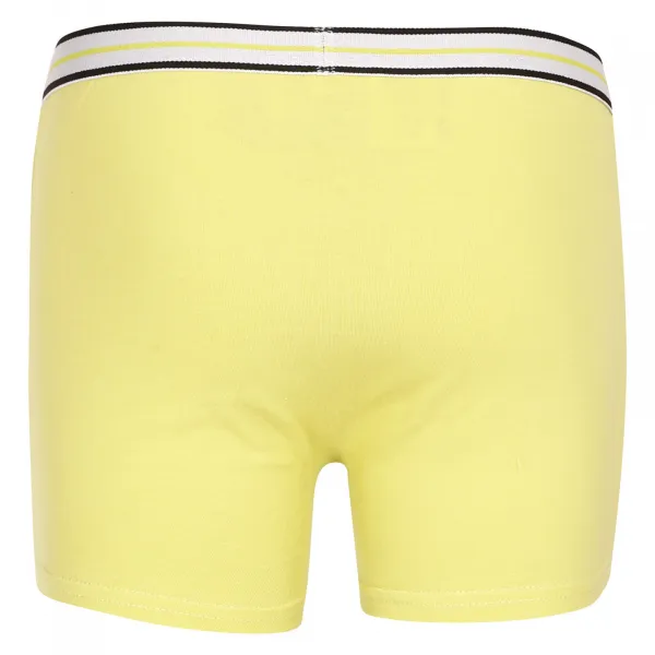 Chlapčenské boxerky E plus M Mickey zelené (MFB-A) 134, trenky