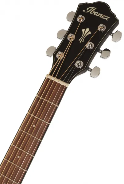 Ibanez AEG50-BK
