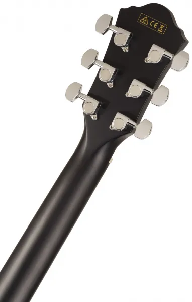 Ibanez AEG50-BK
