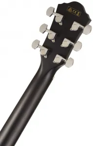 Ibanez AEG50-BK