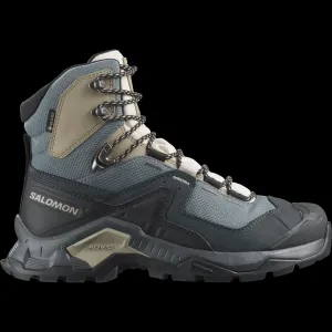 Salomon  Quest Element GTX Ebony/Rainy Day/Stormy Weather, 38 Dámske topánky