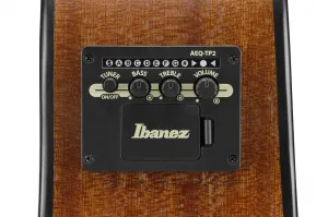 Ibanez AAM50LCE Light Brown Sunburst